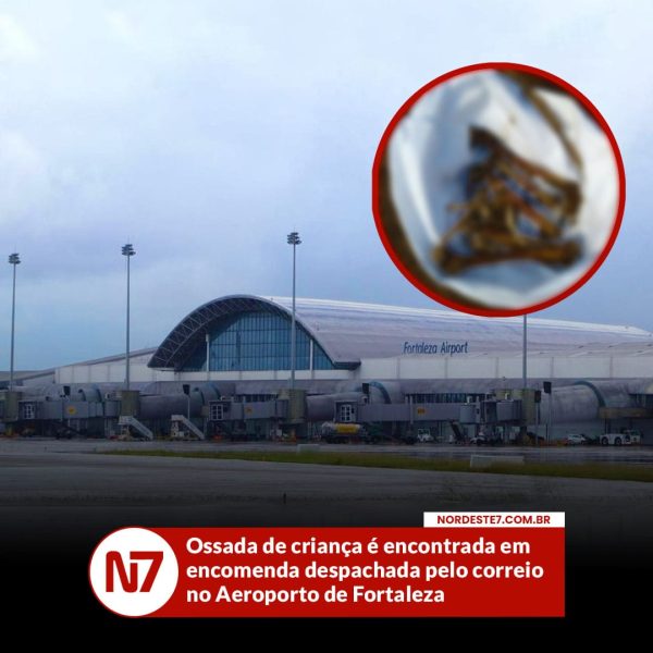 Ossada de criança é encontrada em encomenda despachada pelo correio no Aeroporto de Fortaleza — Região