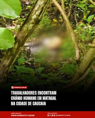 Trabalhadores encontram crânio humano em matagal na cidade de Caucaia — Região. A descoberta foi feita em uma área
