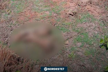 Corpo de mulher é achado sem cabeça em cova rasa no interior do Ceará — Região