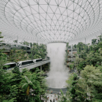 Uma metrópole no meio da floresta: como essa cidade gigante surgiu no coração da Amazônia