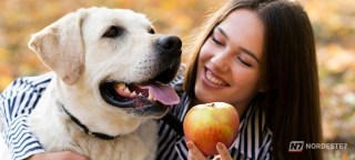 Cesta com maçã e banana ao lado de outras frutas variadas em uma mesa de madeira, ilustrando a alimentação segura para pets.