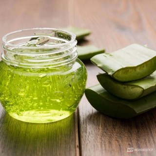 Folha de babosa fresca sendo cortada ao meio, revelando a extração do gel de aloe vera natural e transparente sobre uma mesa.