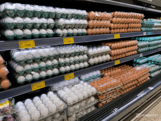 Close em uma cartela de ovos brancos em uma prateleira de supermercado, simbolizando a inflação de alimentos.