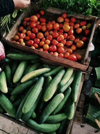 Tomates vermelhos frescos e pepinos verdes armazenados juntos na gaveta de uma geladeira organizada.