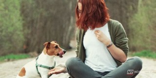 Quem conversa com o pet como se fosse gente pode demonstrar empatia e atenção social acima da média