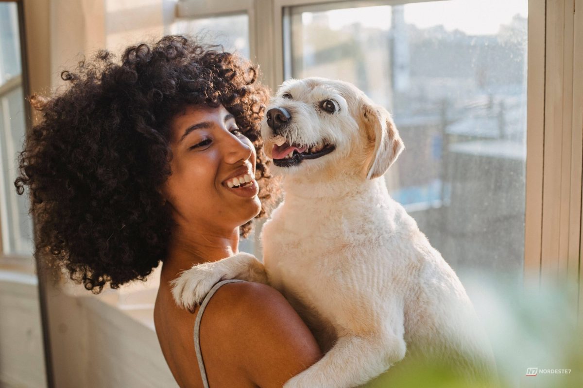 Conversar com o pet como se fosse gente pode revelar empatia e vínculo afetivo mais forte