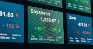 Commodities em alta não garantem ganhos para ações do agro