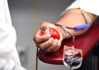 Pessoas com 70 anos ou mais poderão doar sangue no Brasil