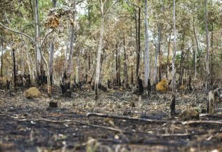 FAB usa aviões KC-390 no combate a incêndios no Amazonas