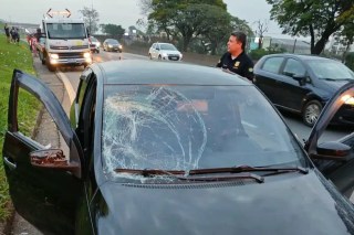 PRF prende motorista após atropelamento de três romeiros na Dutra